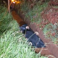 Imagem referente a Homem de 50 anos morre em acidente de moto na PR-180 em Cascavel