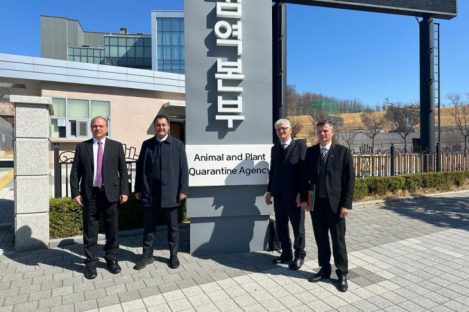 Com visita à agência sanitária da Coreia do Sul, Paraná quer acelerar venda de carne suína
