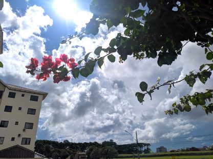 Sextou com clima estável e temperaturas elevadas em Cascavel