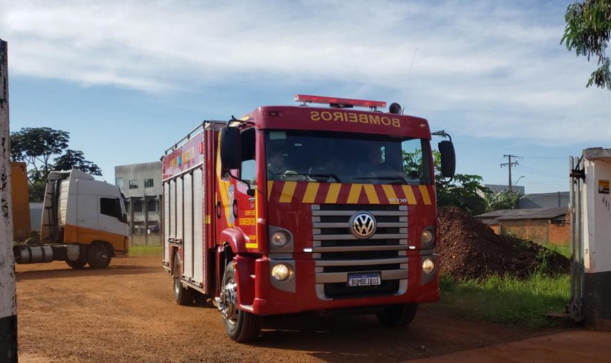 Bombeiros auxiliam em resgate de cachorro machucado no Guarujá