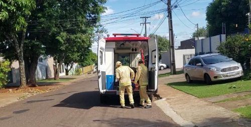 Idosa fica ferida após cair enquanto podava galhos em uma residência no Alto Alegre