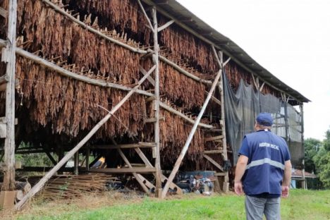 Receita Estadual localiza 45 toneladas irregulares de fumo em folha na região de Guarapuava