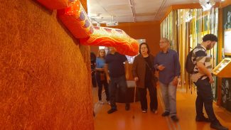 Exposição em SP celebra Dona Onete, a rainha do carimbó chamegado