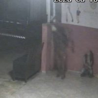 Imagem referente a Câmera registra furto de fios no Brasmadeira