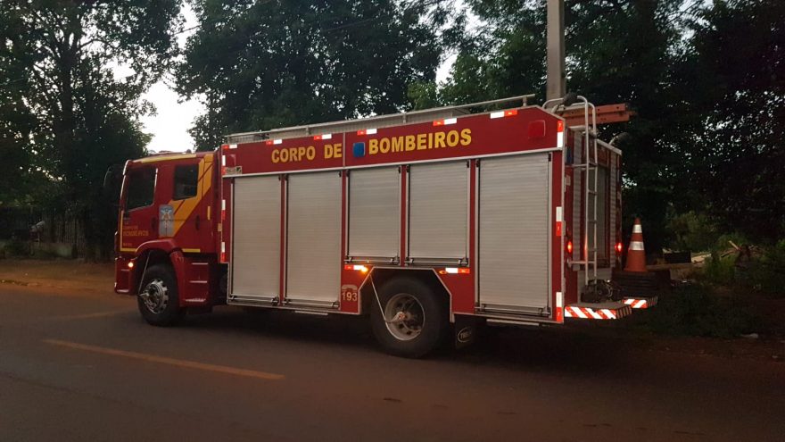 Cobra embaixo de cama mobiliza Corpo de Bombeiros
