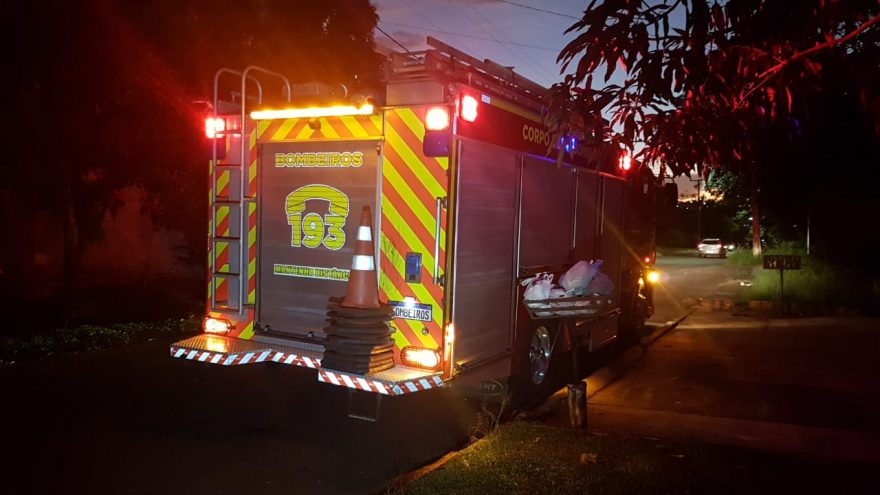 Filhote de cachorro é resgatado em residência no Periolo