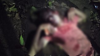 Homem morre ao ser baleado na cabeça no São Cristóvão