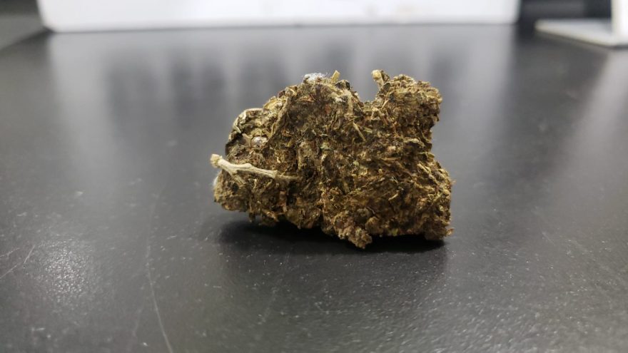 Polícia Militar apreende adolescente com maconha no Brasmadeira