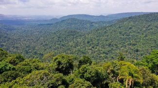 Ministro norueguês diz que Brasil voltou a ser liderança ambiental