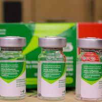 Paraná recebe as primeiras doses de vacinas para a nova campanha contra a gripe