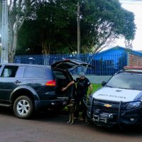 Imagem referente a DH faz operação para prender autor de homicídio contra Dheiverson dos Santos; Suspeito não é localizado, mas droga é apreendida