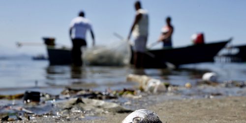 Baía de Guanabara tem neste sábado um dia de limpeza Imagem referente a Baía de Guanabara tem neste sábado um dia de limpeza
