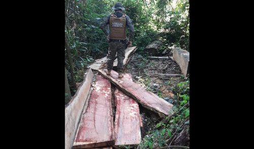 Patrulha Ambiental localiza ponto de desmatamento irregular