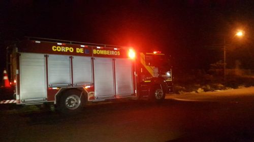 Bombeiros combatem incêndio em vegetação na BR-277
