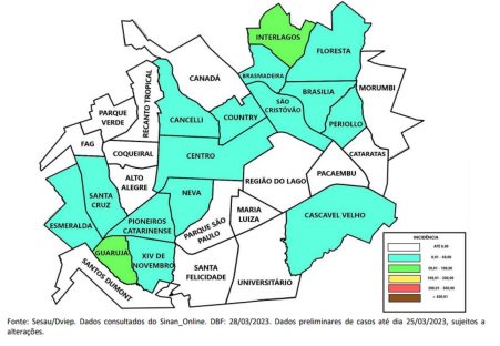 Imagem referente a Cascavel tem 32 casos de dengue e Bairros com maior incidência são Guarujá e Interlagos