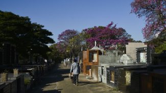 Irregularidades na concessão do serviço funerário serão alvo do TCMSP