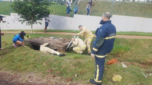 Bombeiros resgatam cachorro que caiu em bueiro no Floresta