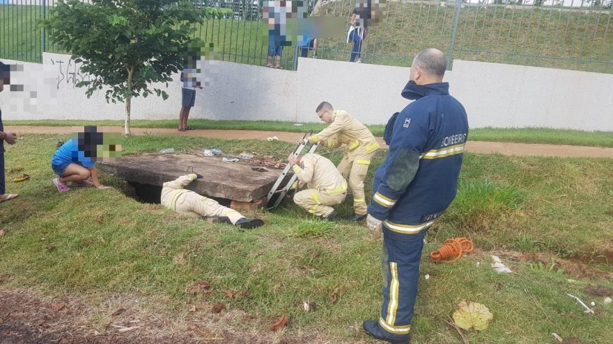 Bombeiros resgatam cachorro que caiu em bueiro no Floresta