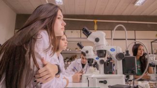 Ciência revolucionária: no Paraná, mulheres são maioria no sistema de ensino superior