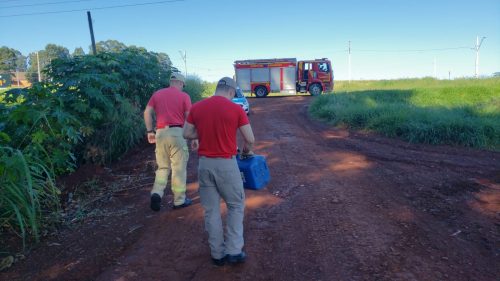 Gambá invade clínica no Country e é resgatado pelos Bombeiros