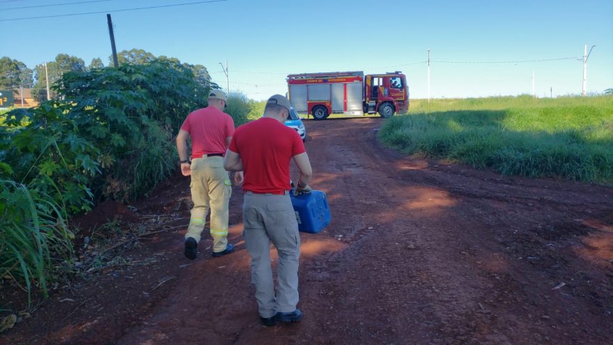 Gambá invade clínica no Country e é resgatado pelos Bombeiros