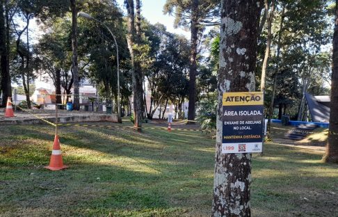 Trecho de praça onde será realizado o Rocão está isolado devido a enxame de abelhas