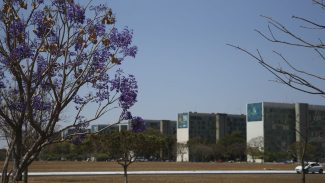 Cai a participação de mulheres em cargos no governo federal