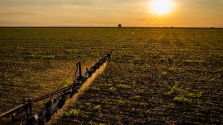 RJ estuda implantação da primeira fábrica de fertilizantes no estado