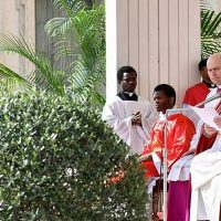 Papa celebra missa do Domingo de Ramos