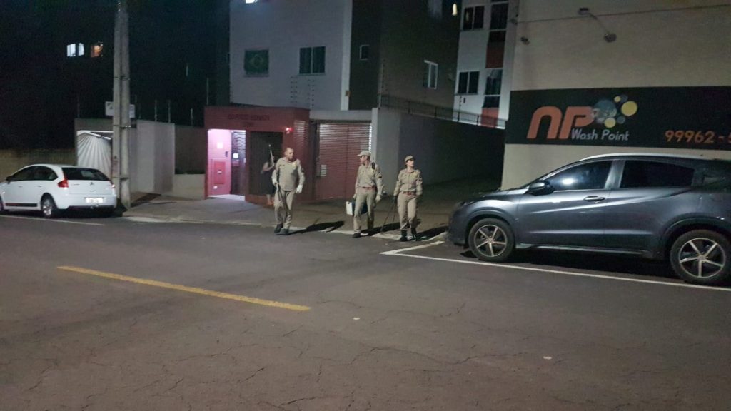 Bombeiros capturam ouriço na Rua Marechal Floriano