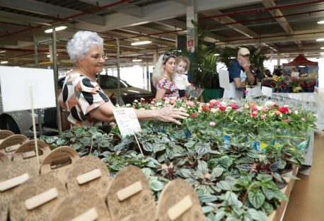 Rotary Fest Flores acontece até domingo em Cascavel