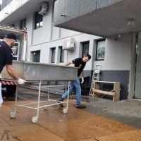 Imagem referente a Corpos das vítimas da BR-369 chegam ao IML de Cascavel; família identifica motorista do Golf