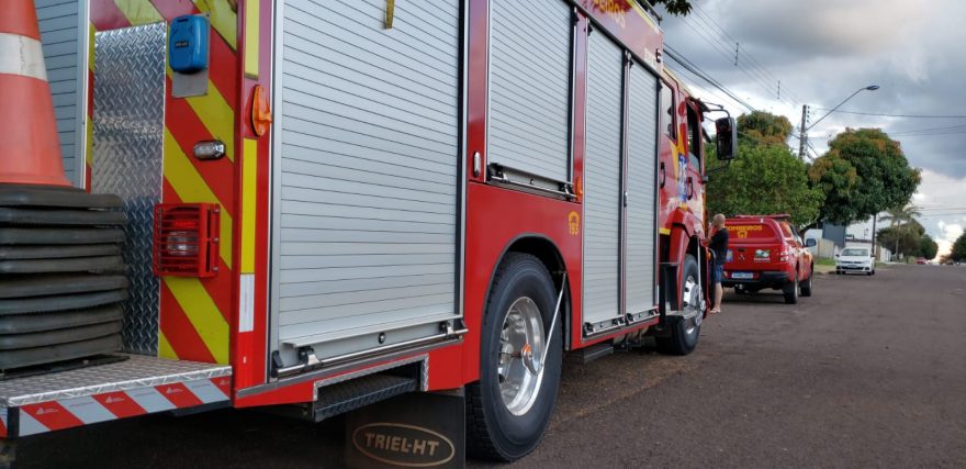 Gato ‘desce pelo cano’ e precisa ser socorrido pelo Corpo de Bombeiros