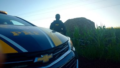 Imagem referente a Após fuga, PRF apreende caminhão carregado com 200 mil maços de cigarros no oeste do estado