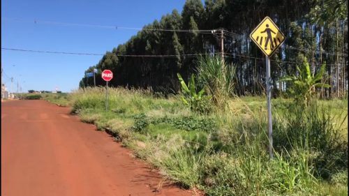 Mato toma conta do Bairro Tropical III e moradores pedem providências