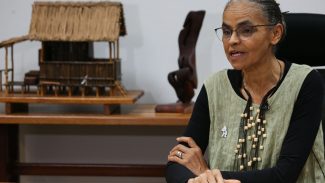 Ministra destaca volta do país ao protagonismo de políticas ambientais