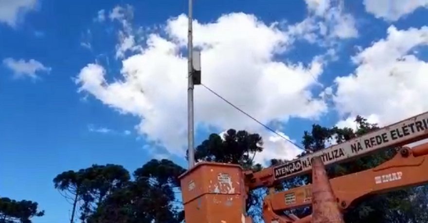 Defesa Civil retira enxame de abelhas no Bairro Veneza