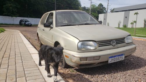 Veículo com registro de furto é recuperado pela GM no Brasmadeira