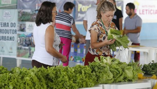 Feira do Produtor Urbano será realizada nesta sexta-feira (14) em Cascavel