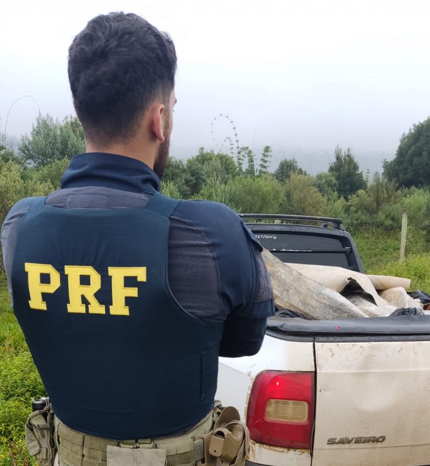 Carga de 400 quilos de camarão é apreendida em Guarapuava