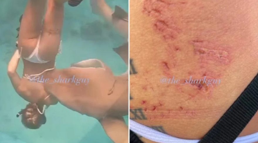 Vídeo: Tubarão morde modelo durante mergulho para sessão de fotos