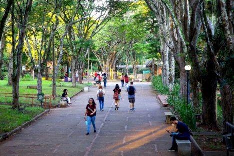 Ensino superior do Paraná está entre os mais bem avaliados do Brasil