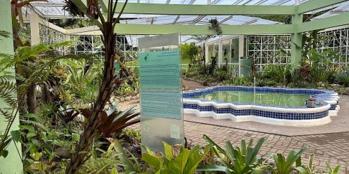 Jardim Botânico do Rio reabre bromeliário, após nove meses em obras