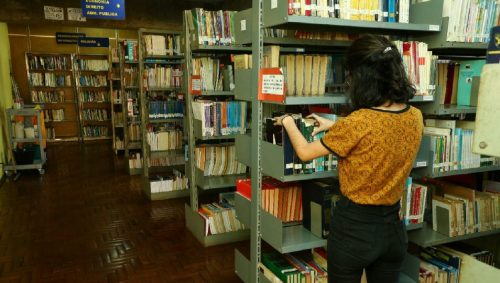 Saiba quais foram os 10 livros mais emprestados na Biblioteca de Cascavel