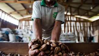 BNDES vai destinar R$ 2,5 milhões para bioeconomia na Amazônia