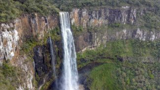 Paraná anuncia expansão de área verde com novas Unidades de Conservação