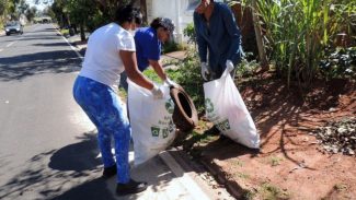 Estado estabelece frente de combate à dengue para ações em todo o Estado