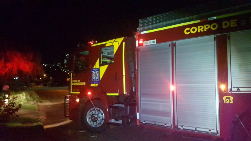 Corpo de Bombeiros é acionado remover árvore que caiu sobre rua no Parque São Paulo
