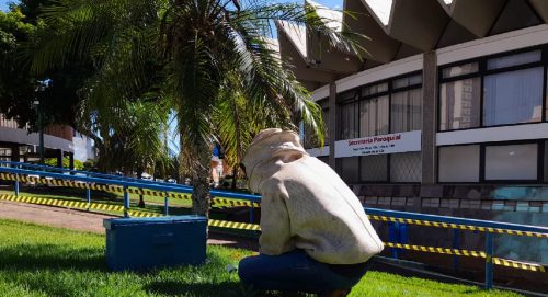 Defesa Civil é mobilizada para remover enxame de abelhas no jardim da Catedral 