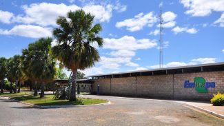 Justiça determina que MST desocupe fazenda da Embrapa em Pernambuco